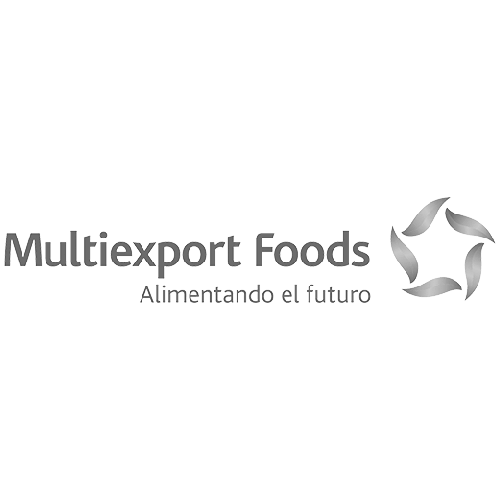 logo-multiexport-sq